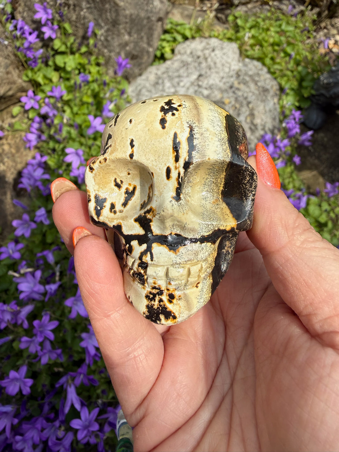 Picture Jasper with Dendrities Skull Carving