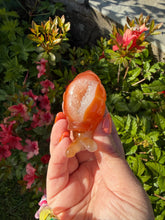 Load image into Gallery viewer, Druzy Agate Snail Carving
