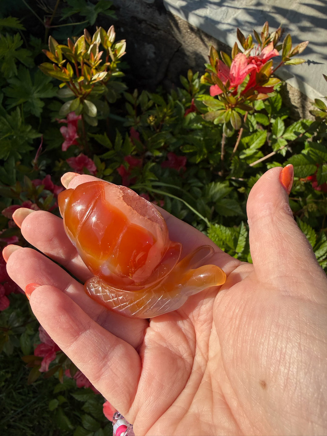 Druzy Agate Snail Carving