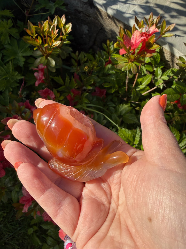 Druzy Agate Snail Carving