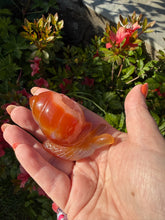 Load image into Gallery viewer, Druzy Agate Snail Carving

