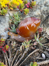 Load image into Gallery viewer, Druzy Agate Snail Carving
