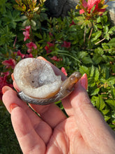 Load image into Gallery viewer, Druzy Agate Snail Carving
