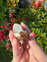 Load image into Gallery viewer, Druzy Agate Snail Carving
