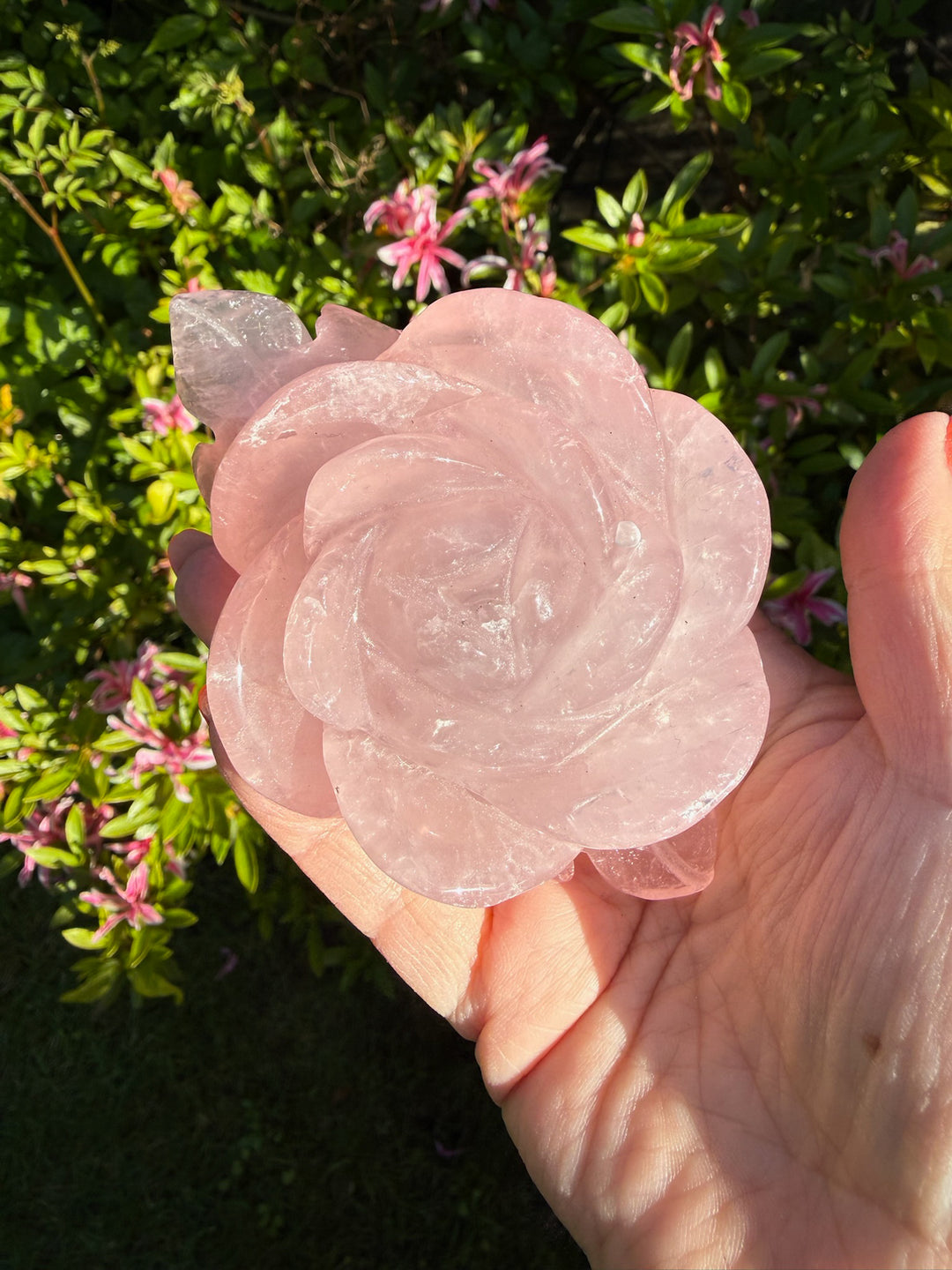 Rose Quartz Flower Carving on a Custom Stand