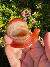 Load image into Gallery viewer, Druzy Agate Snail Carving
