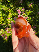 Load image into Gallery viewer, Druzy Agate Snail Carving
