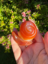 Load image into Gallery viewer, Druzy Agate Snail Carving
