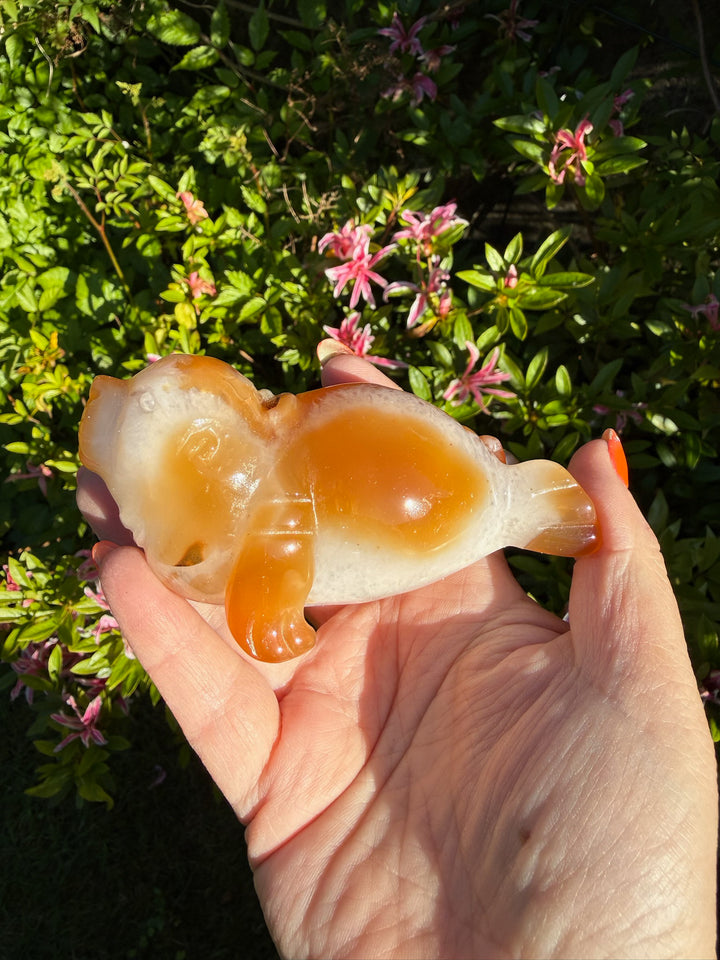 Druzy Agate Seal Carving