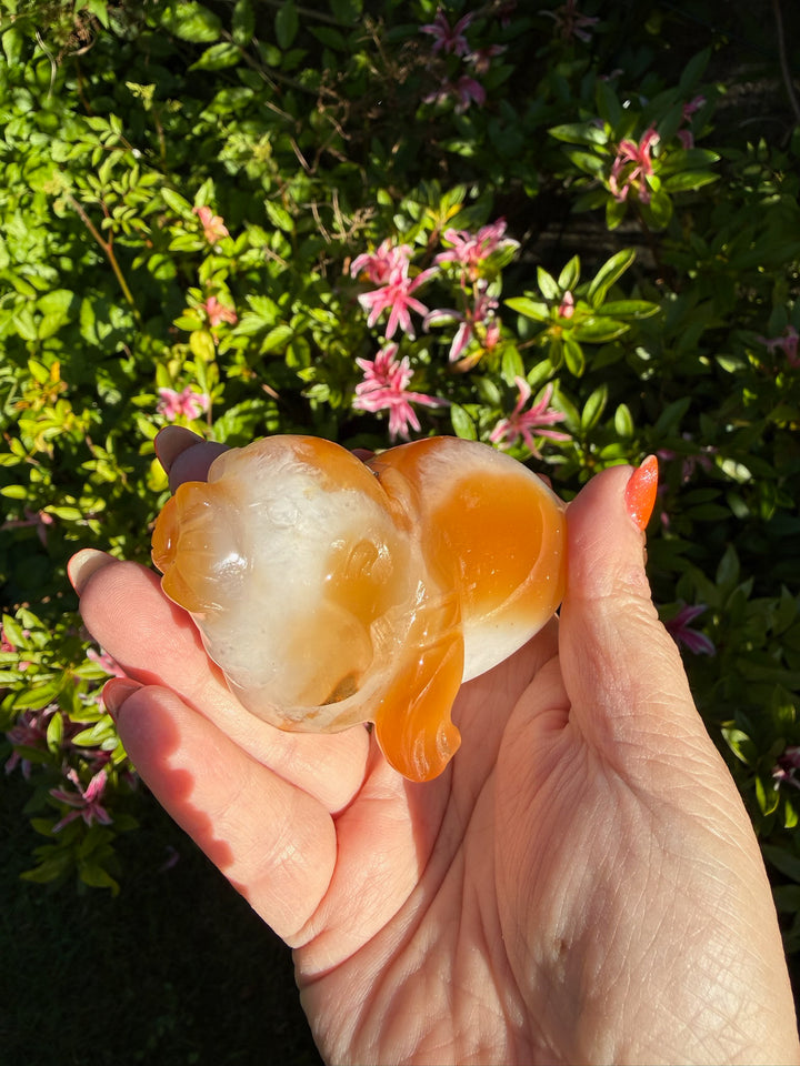Druzy Agate Seal Carving