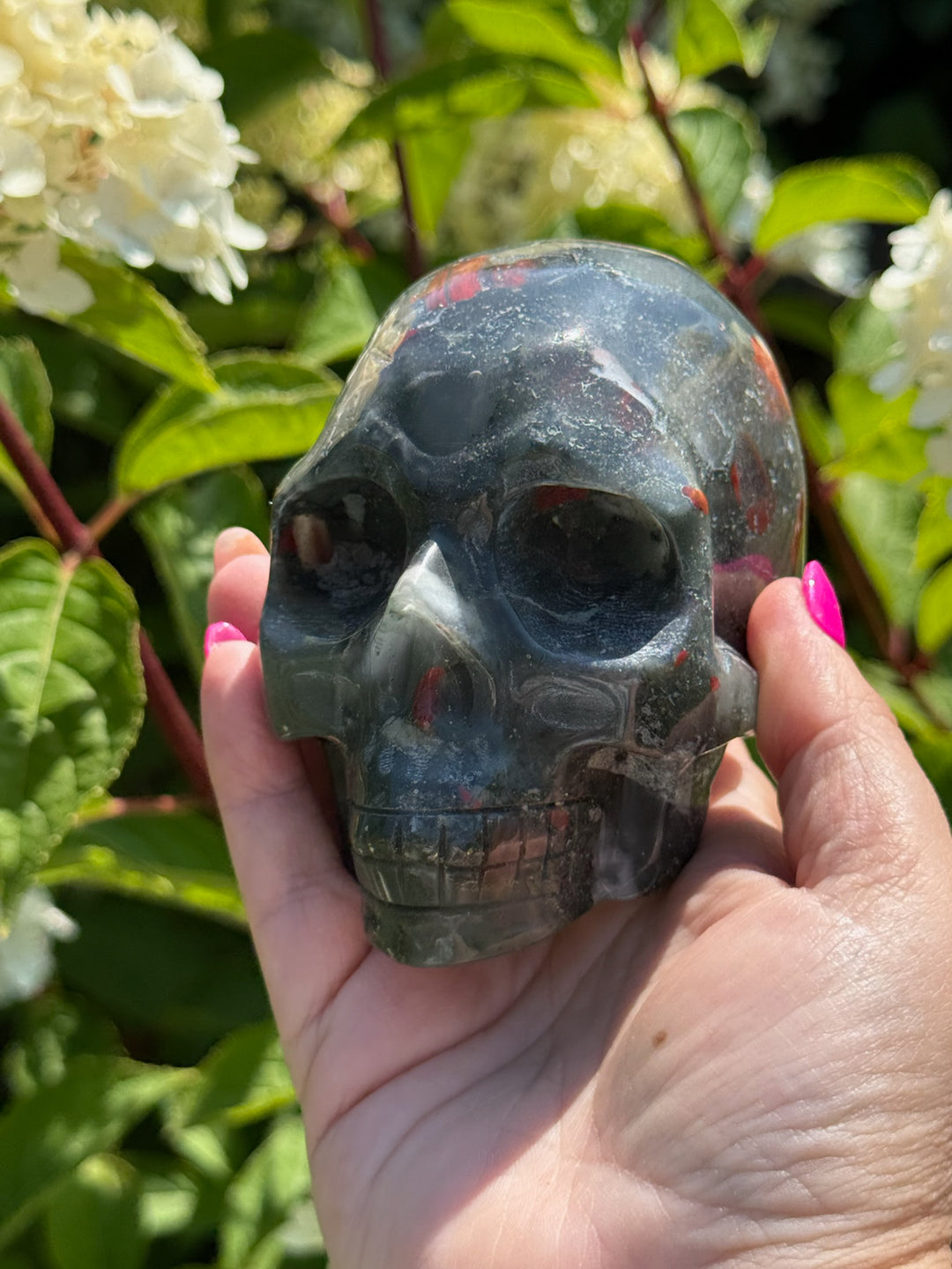 Large African Bloodstone Seftonite Skull Carving
