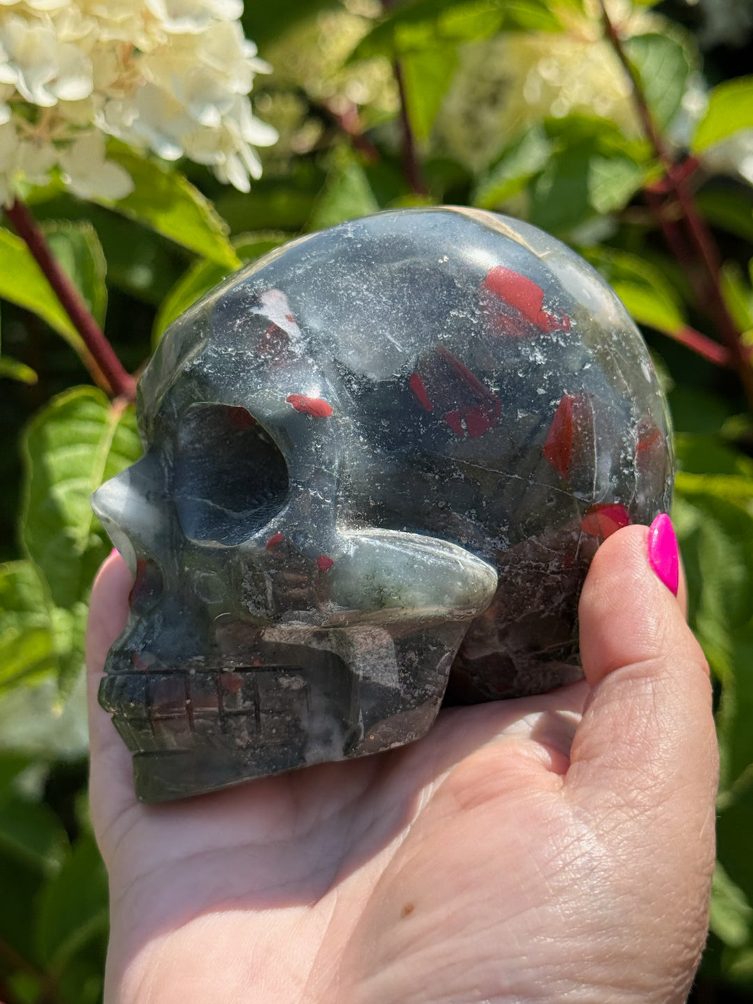 Large African Bloodstone Seftonite Skull Carving