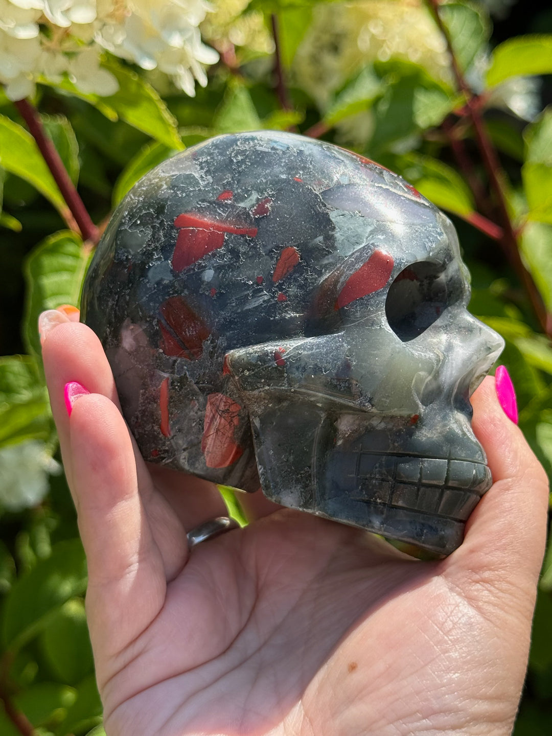 Large African Bloodstone Seftonite Skull Carving