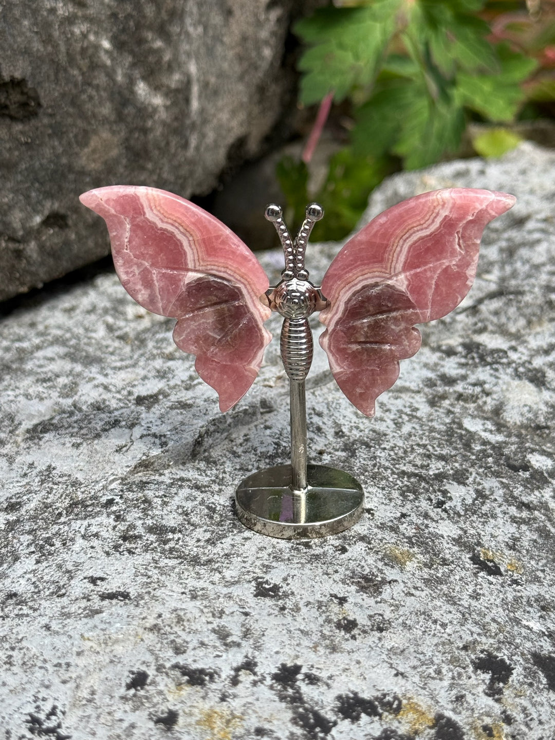 Rhodochrosite Butterfly Carving