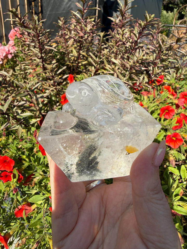 Hand Carved Garden Quartz Turtle with Rainbows
