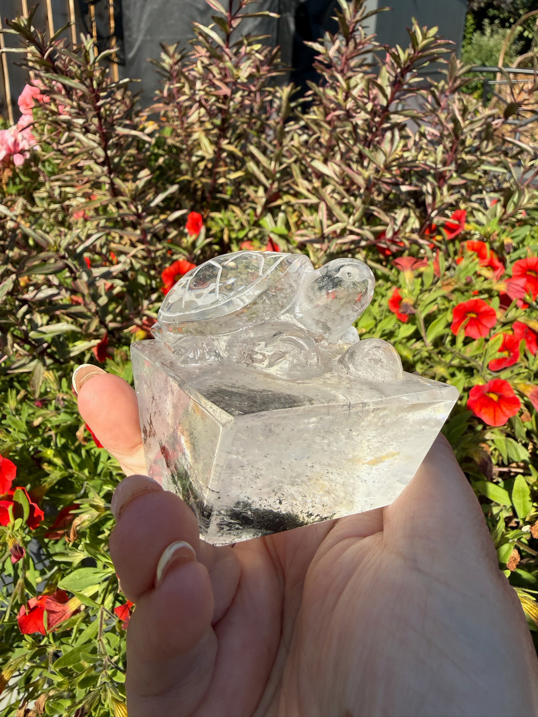 Hand Carved Garden Quartz Turtle with Rainbows