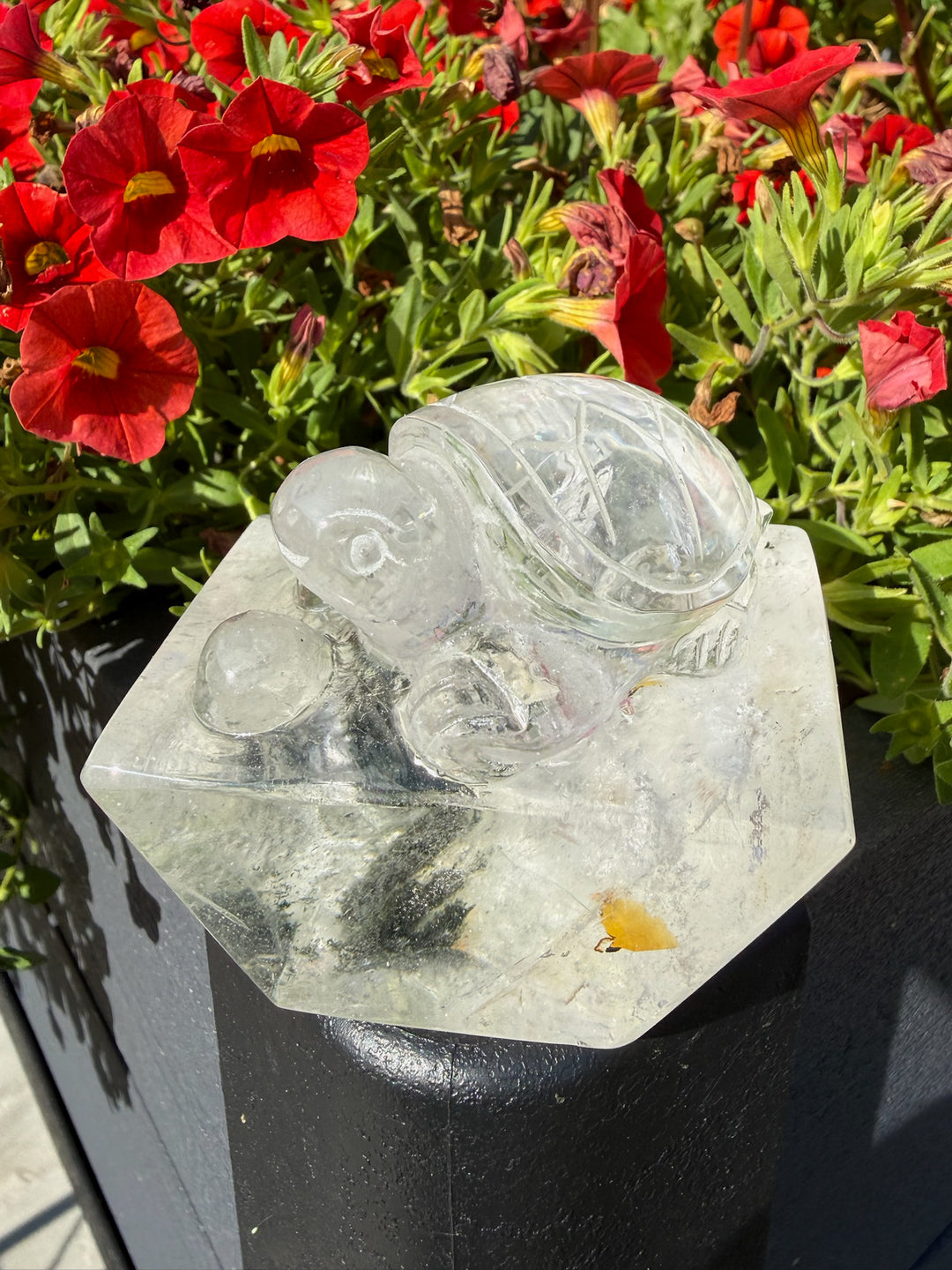Hand Carved Garden Quartz Turtle with Rainbows