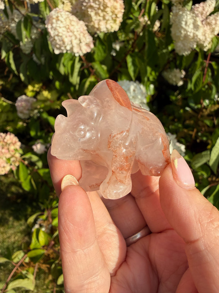 Fire Quartz Triceratops Dinosaur Carving