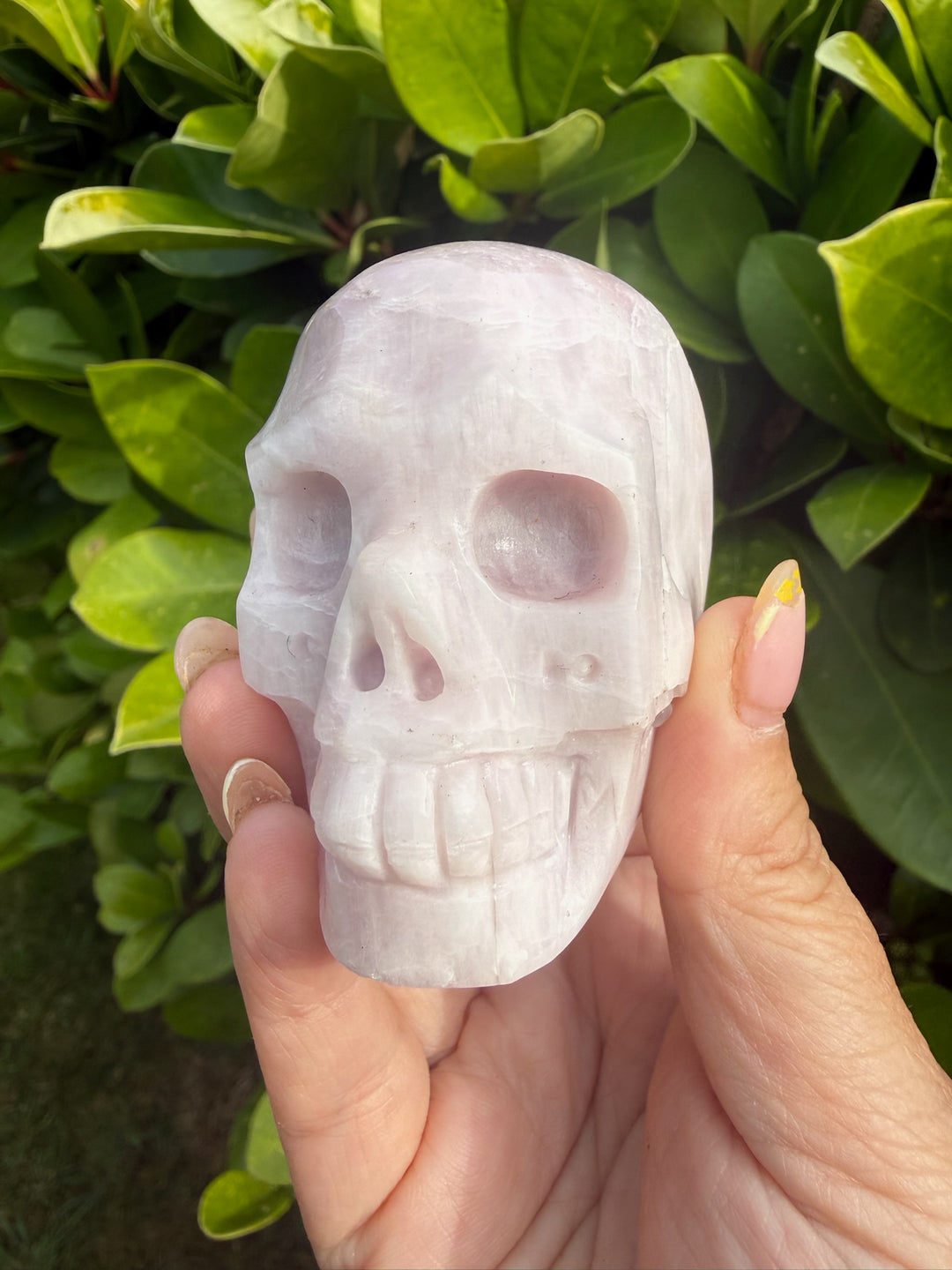 Uv Reactive Kunzite and Hiddenite Skull Carving