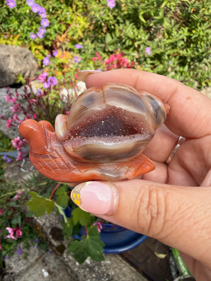 Druzy Carnelian Snail Carving