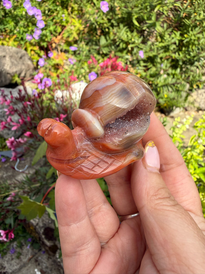 Druzy Carnelian Snail Carving
