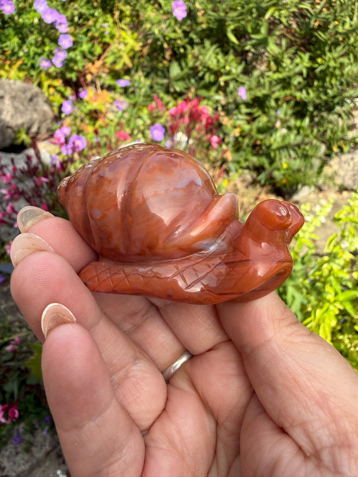 Druzy Carnelian Snail Carving
