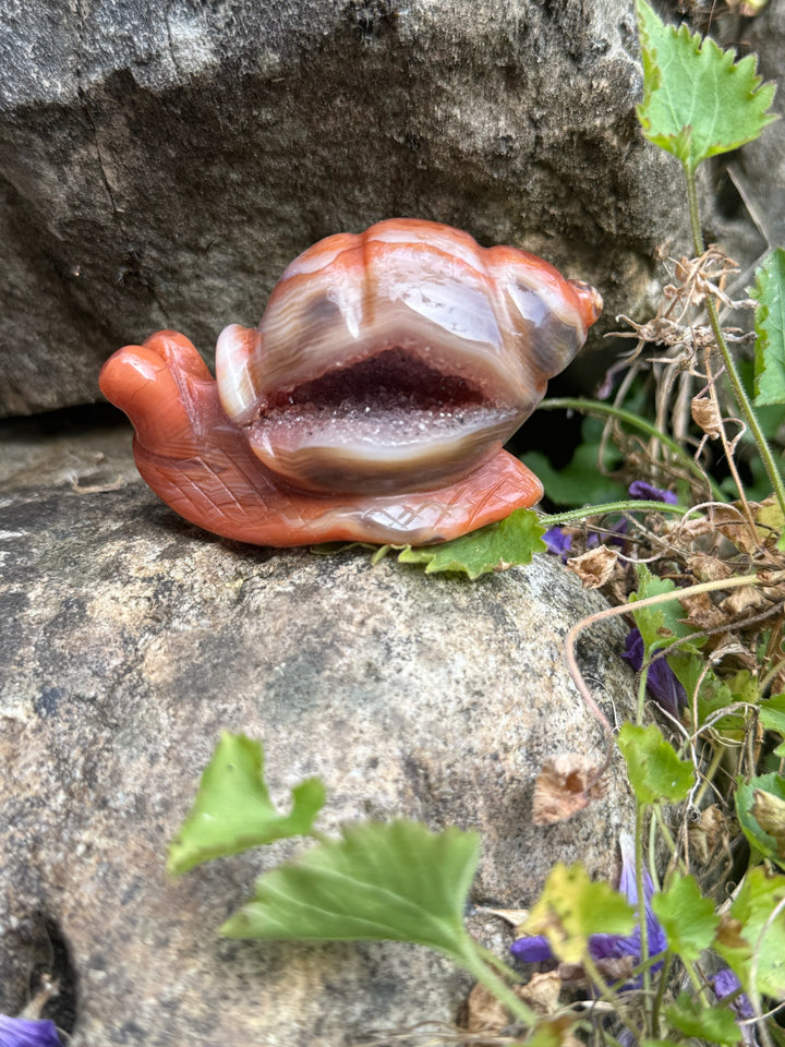 Druzy Carnelian Snail Carving