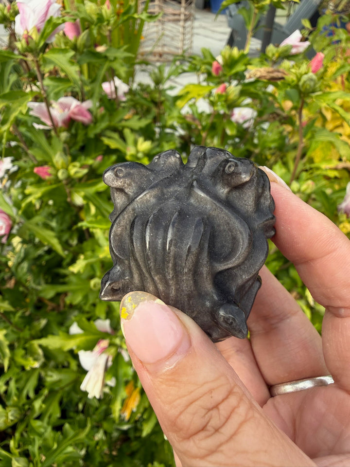 Silver Sheen Obsidian Medusa Head Carving