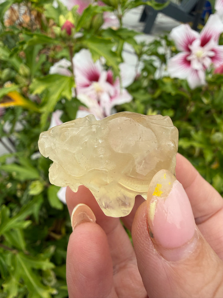 Citrine Dragon Turtle Carving Feng Shui