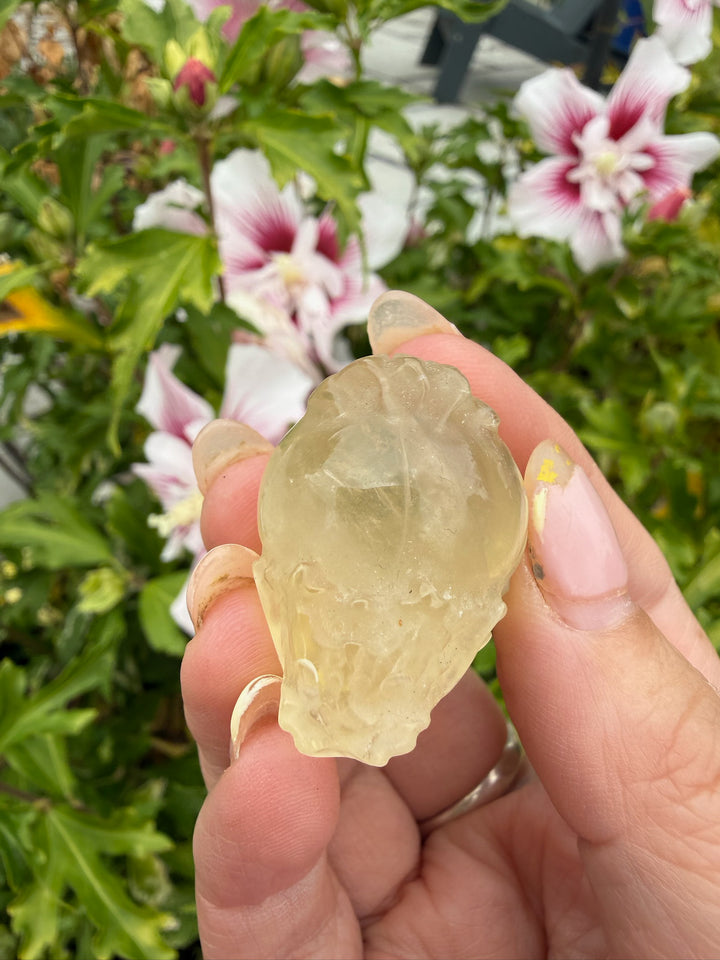 Citrine Dragon Turtle Carving Feng Shui