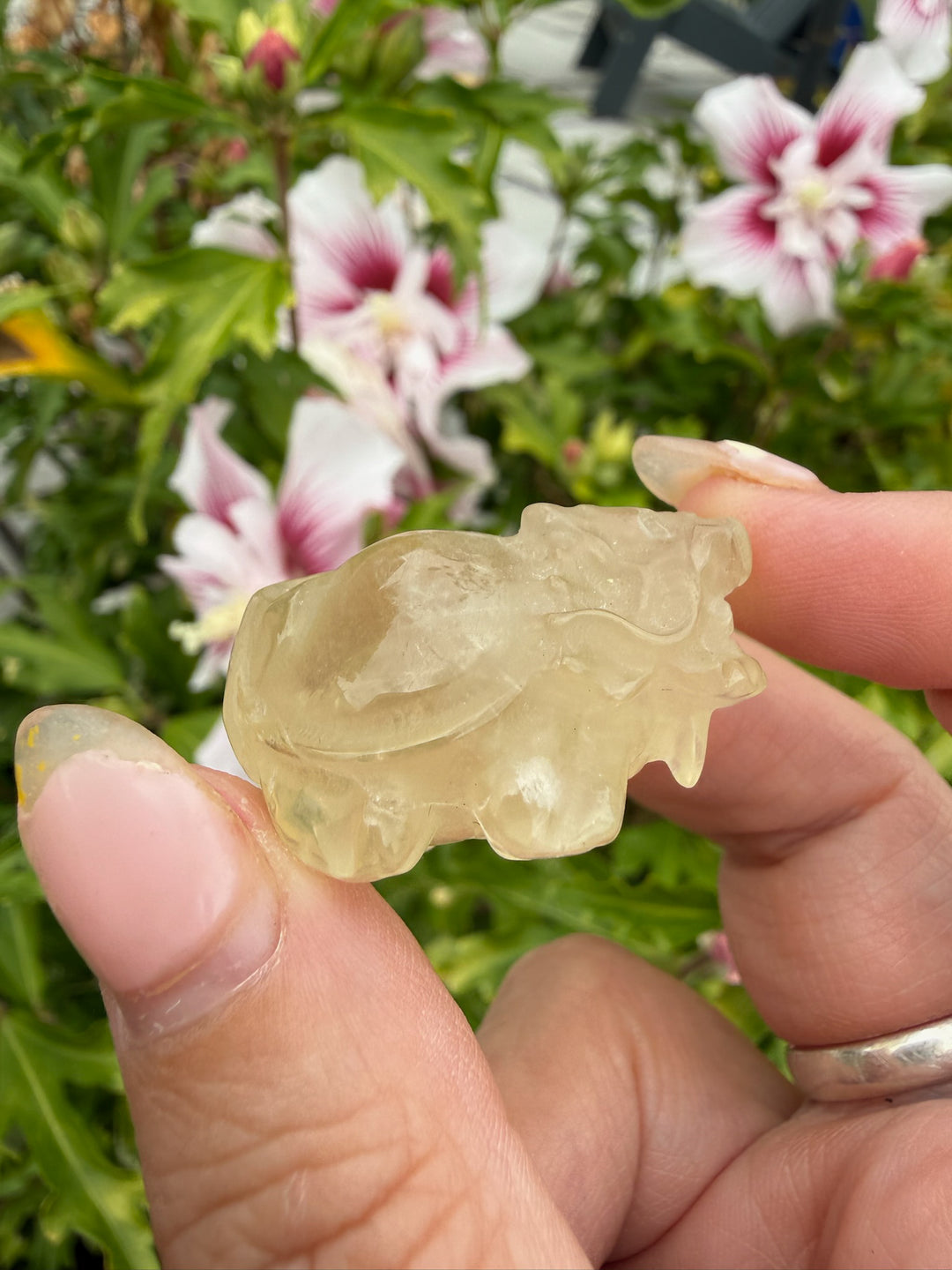 Citrine Dragon Turtle Carving Feng Shui