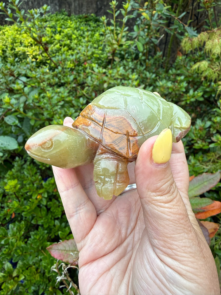 Banded Calcite Tortoise from Pakistan