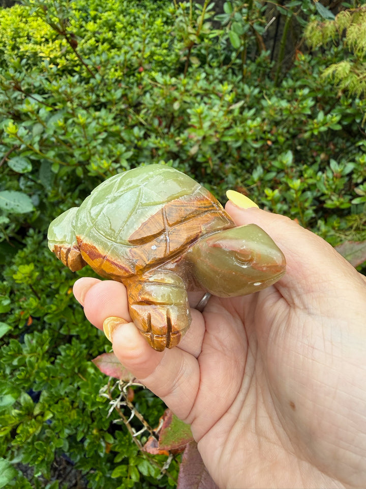 Banded Calcite Tortoise from Pakistan