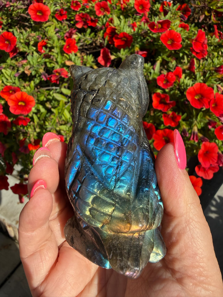 Blue Flash Labradorite Owl Carving from Madagascar