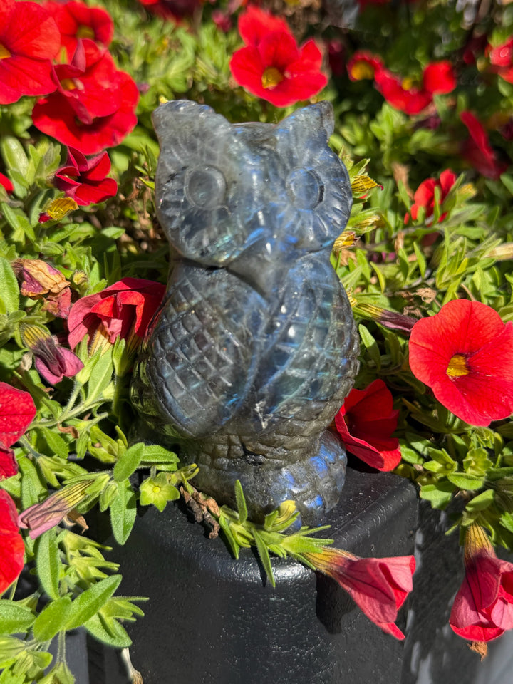 Blue Flash Labradorite Owl Carving from Madagascar