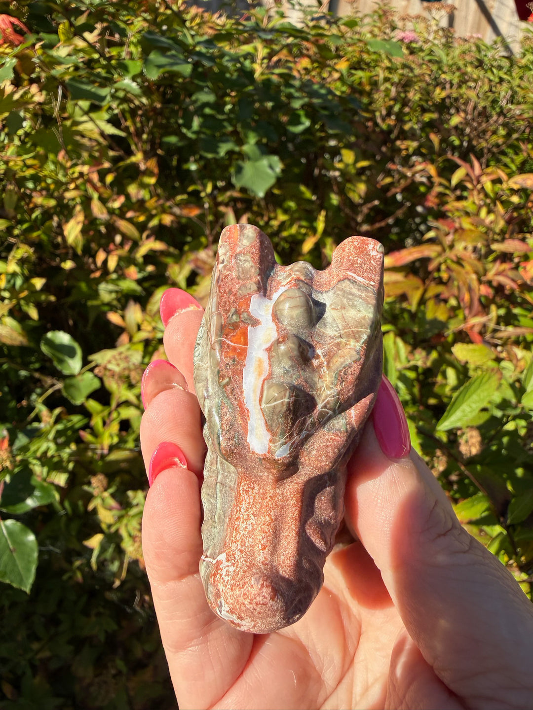 Money Agate Dragon Head Carving from Brazil