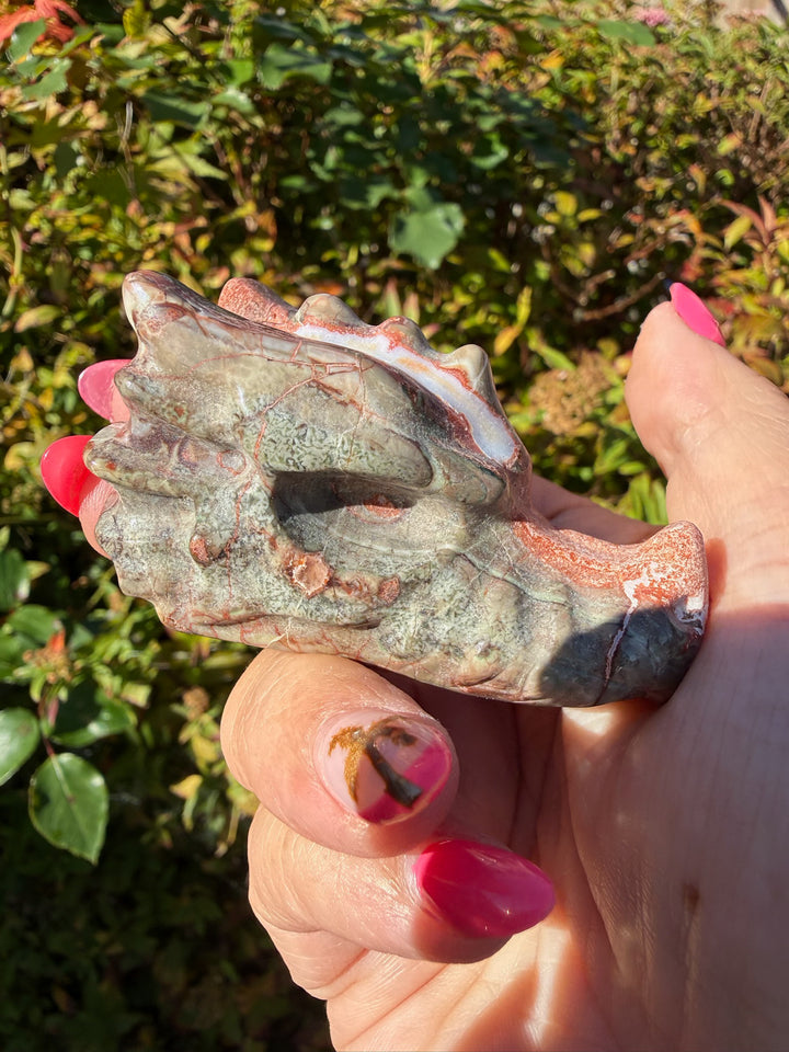 Money Agate Dragon Head Carving from Brazil