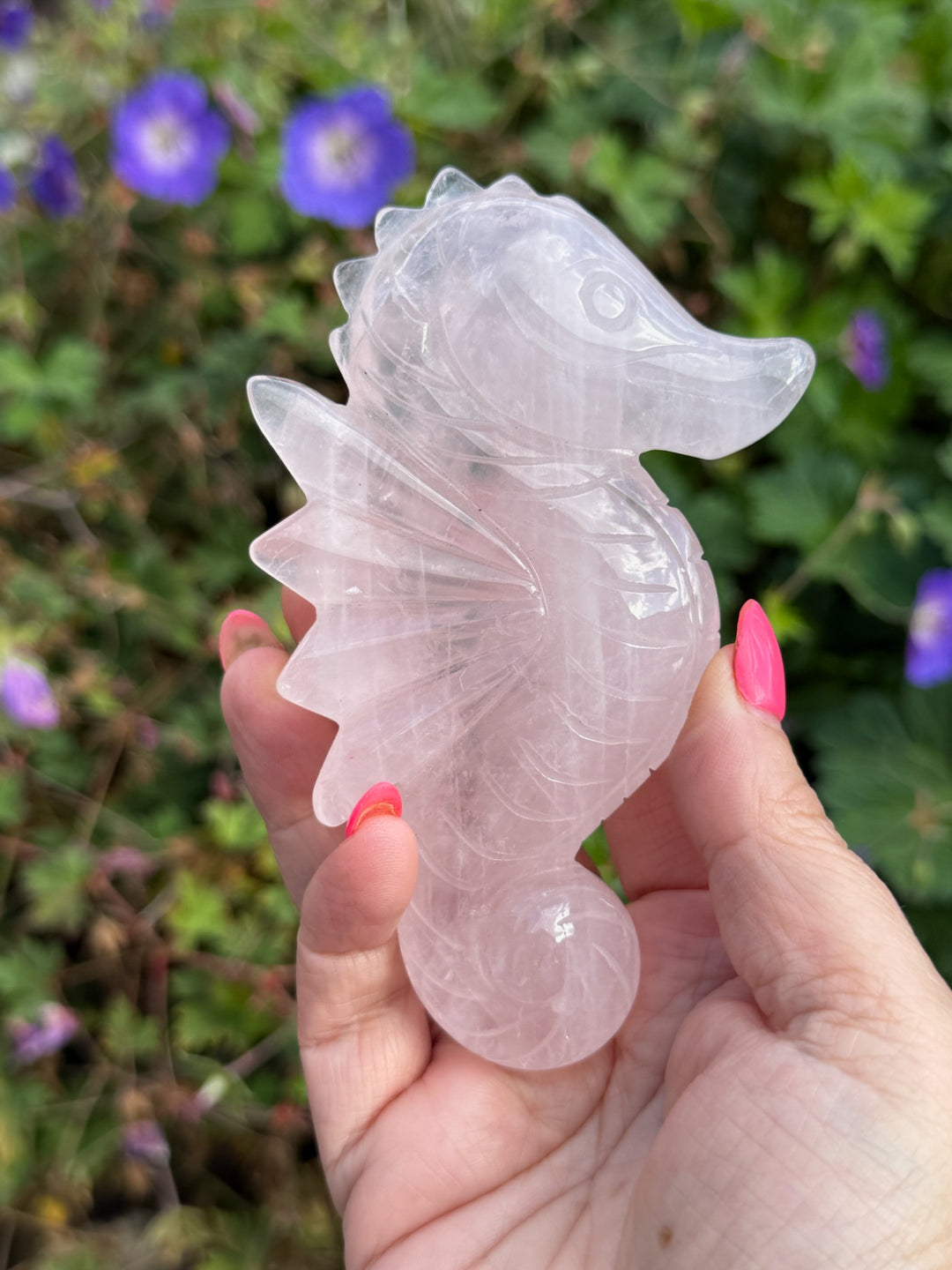 Rose Quartz Sea Horse Carving from Brazil