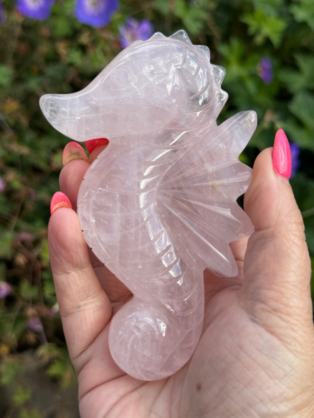 Rose Quartz Sea Horse Carving from Brazil