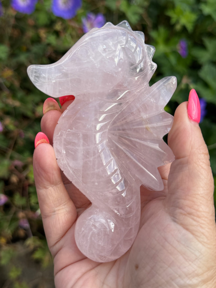 Rose Quartz Sea Horse Carving from Brazil