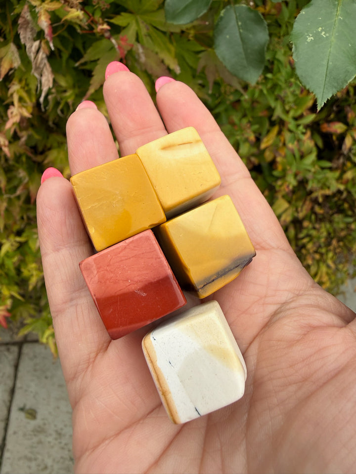 Set of 5 Mookiate Cubes from Australia