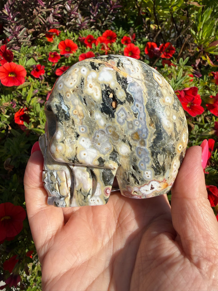 Ocean Jasper Skull Carving from Madagascar