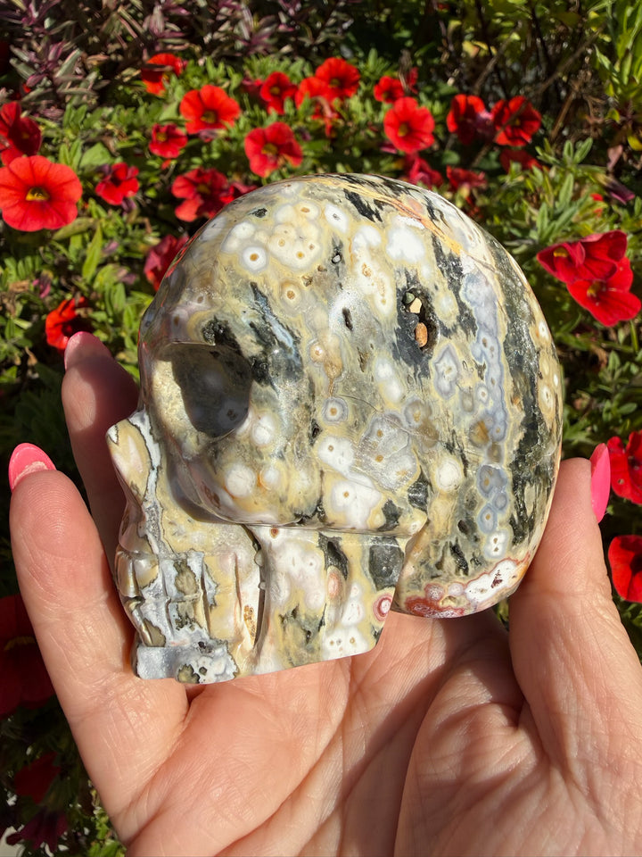 Ocean Jasper Skull Carving from Madagascar