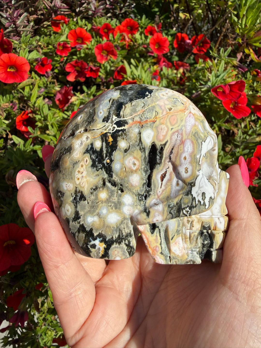 Ocean Jasper Skull Carving from Madagascar