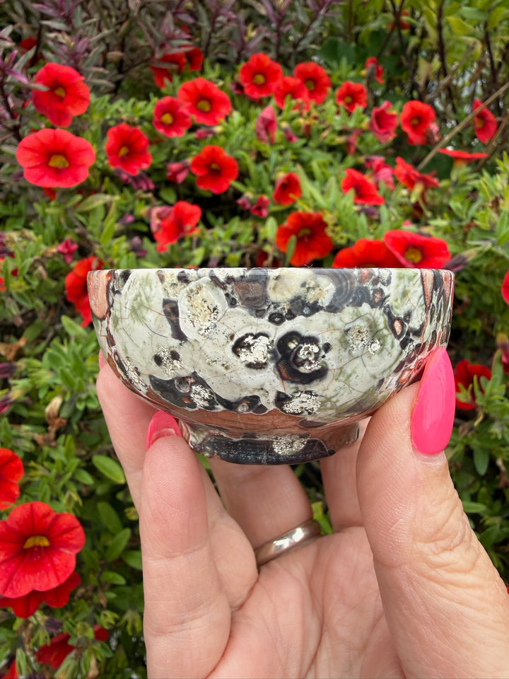 Money Agate Trinket Dish Bowl