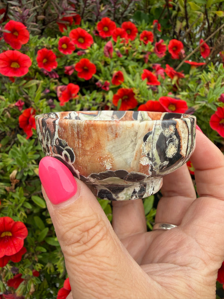 Money Agate Trinket Dish Bowl
