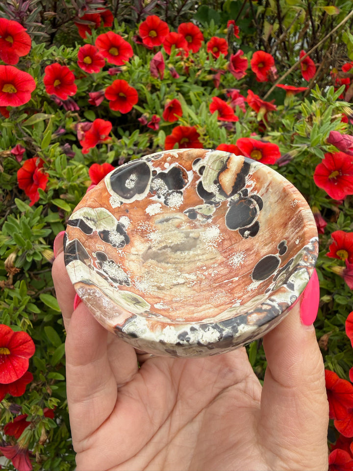 Money Agate Trinket Dish Bowl