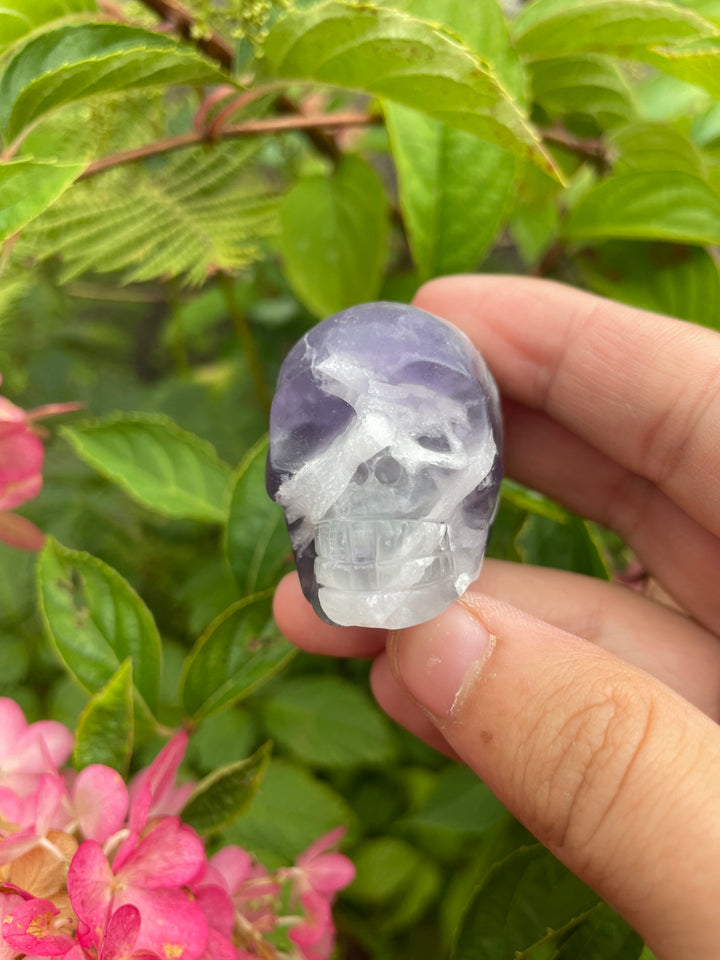 Lavender Fluorite Skull