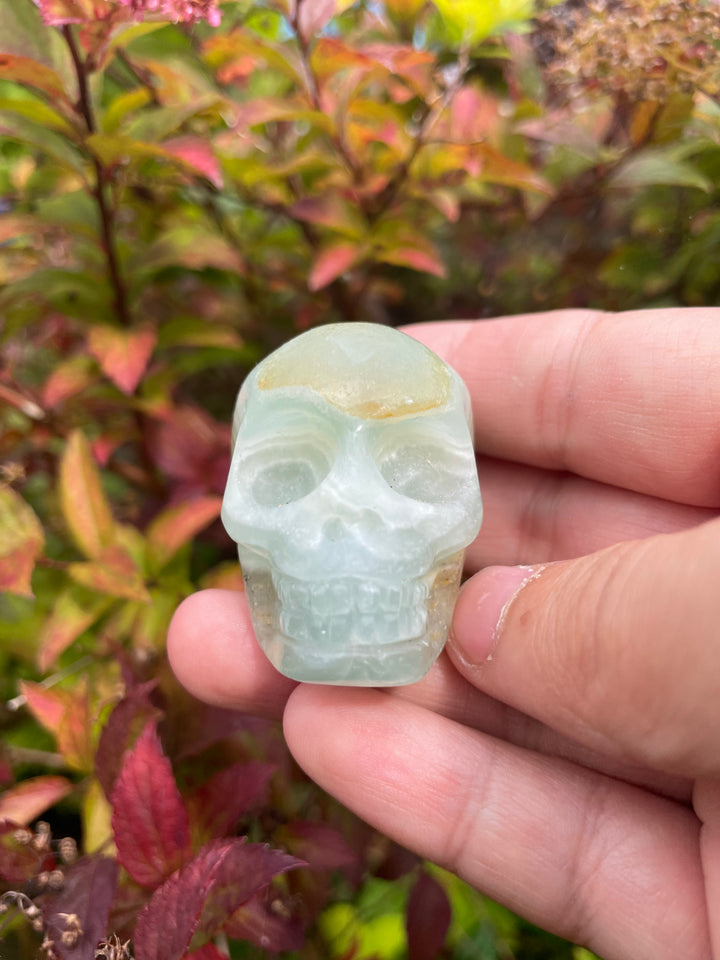 Blue Onyx Skull