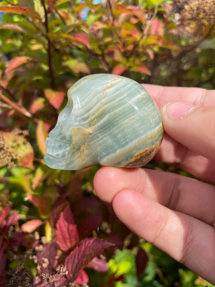 Blue Onyx Skull